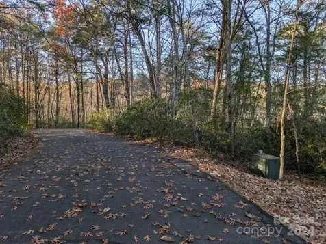 Lot 59 & 60 Willow Lane Columbus NC 28722