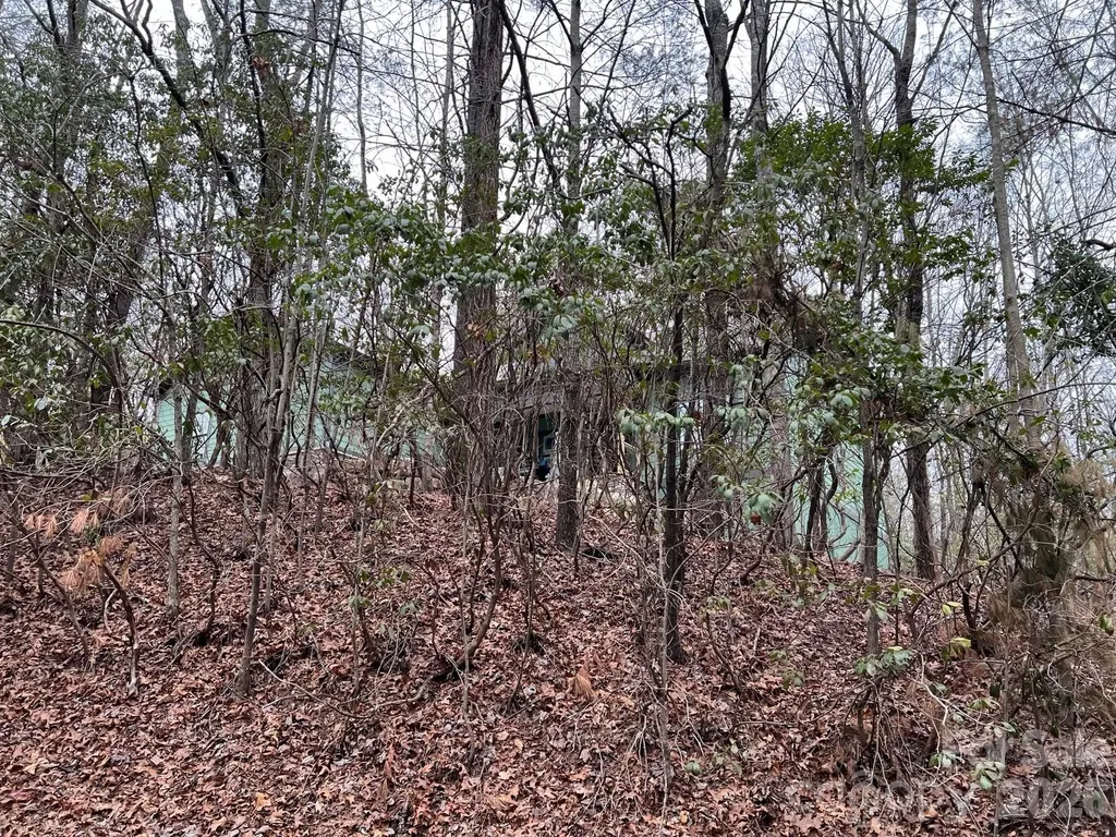 397 Soquili Drive Brevard NC 28712