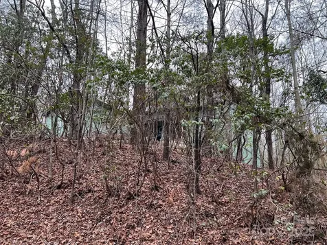 397 Soquili Drive Brevard NC 28712