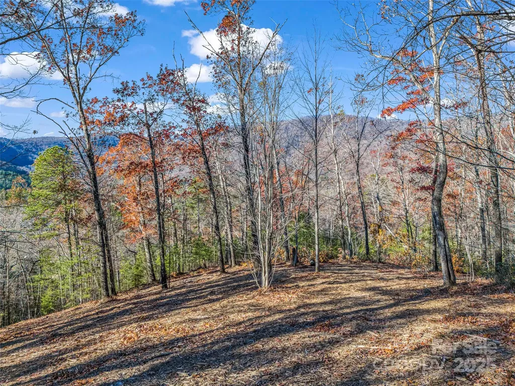 Lot 30 Deep Gap Farm Road E Mill Spring NC 28756