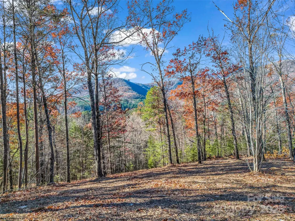 Lot 30 Deep Gap Farm Road E Mill Spring NC 28756