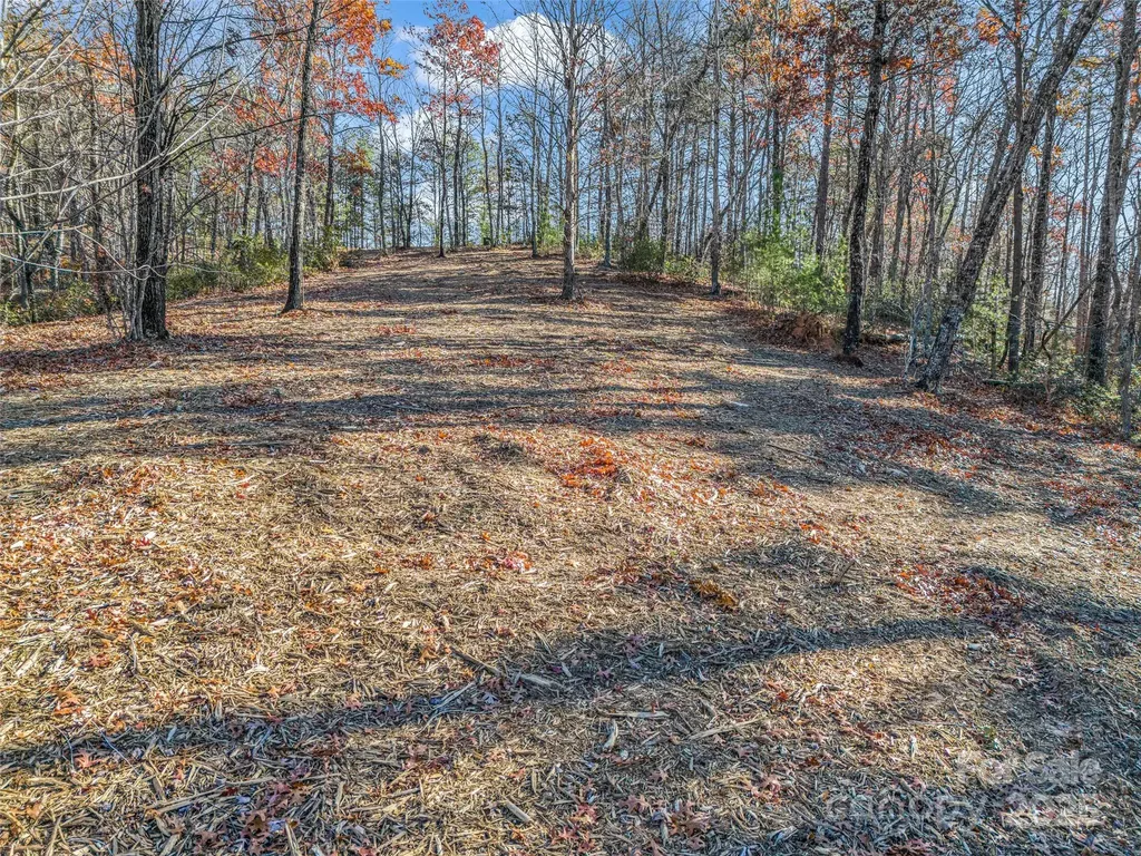 Lot 30 Deep Gap Farm Road E Mill Spring NC 28756