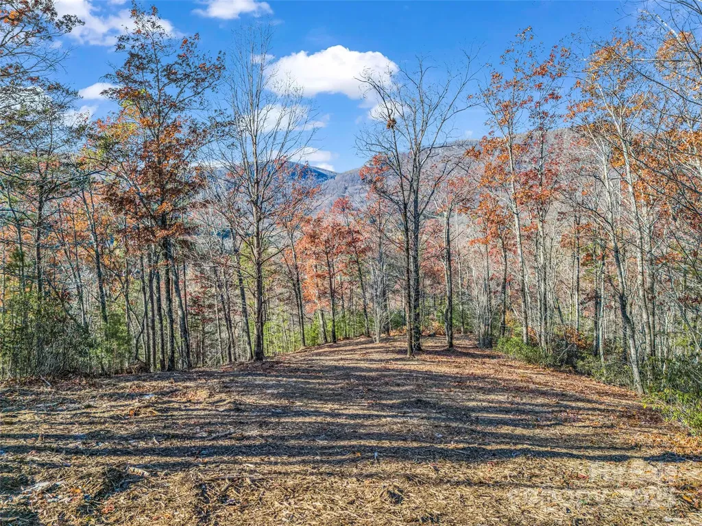 Lot 30 Deep Gap Farm Road E Mill Spring NC 28756
