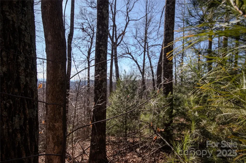 2221 Nighthawk Ridge Court Lenoir NC 28645