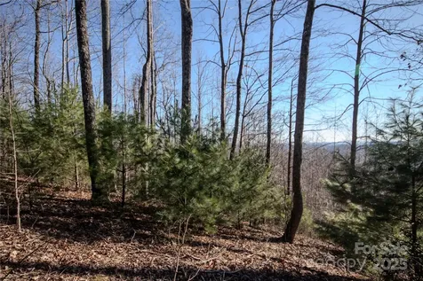2221 Nighthawk Ridge Court Lenoir NC 28645