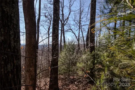 2221 Nighthawk Ridge Court Lenoir NC 28645