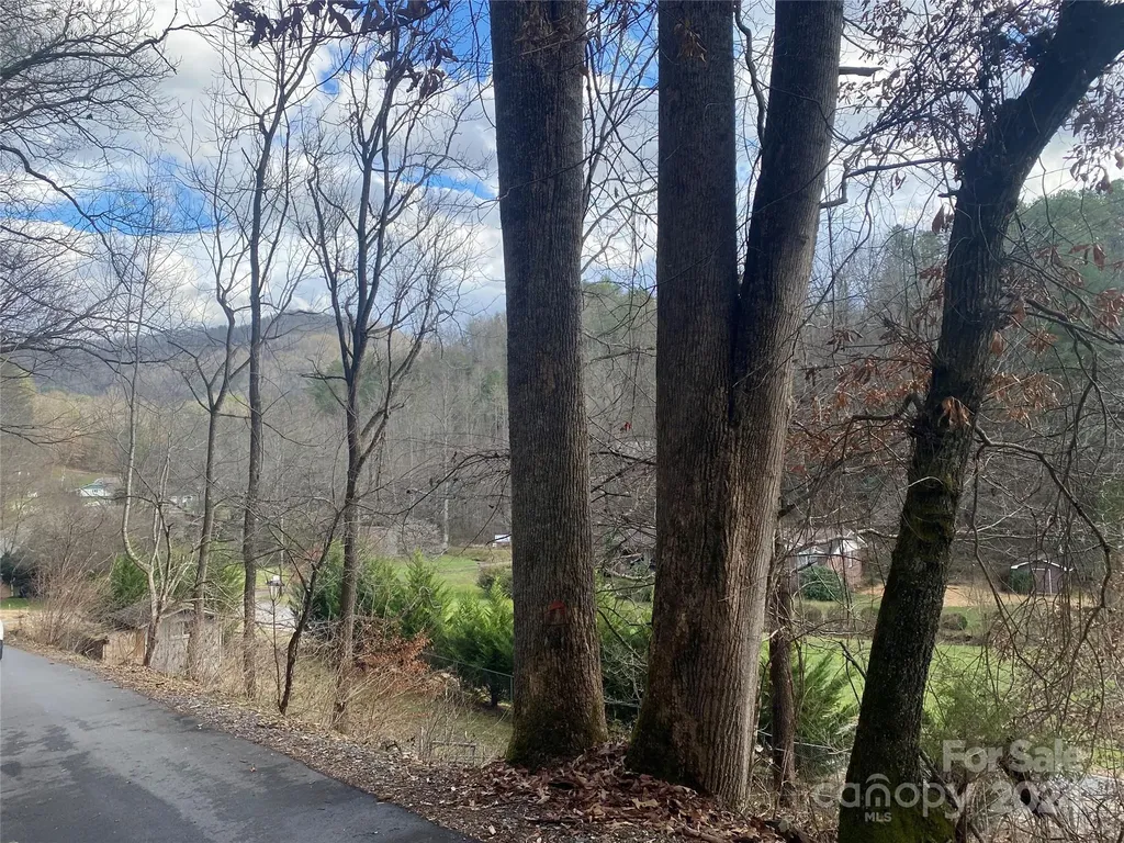 0 Gospel Drive Sylva NC 28779