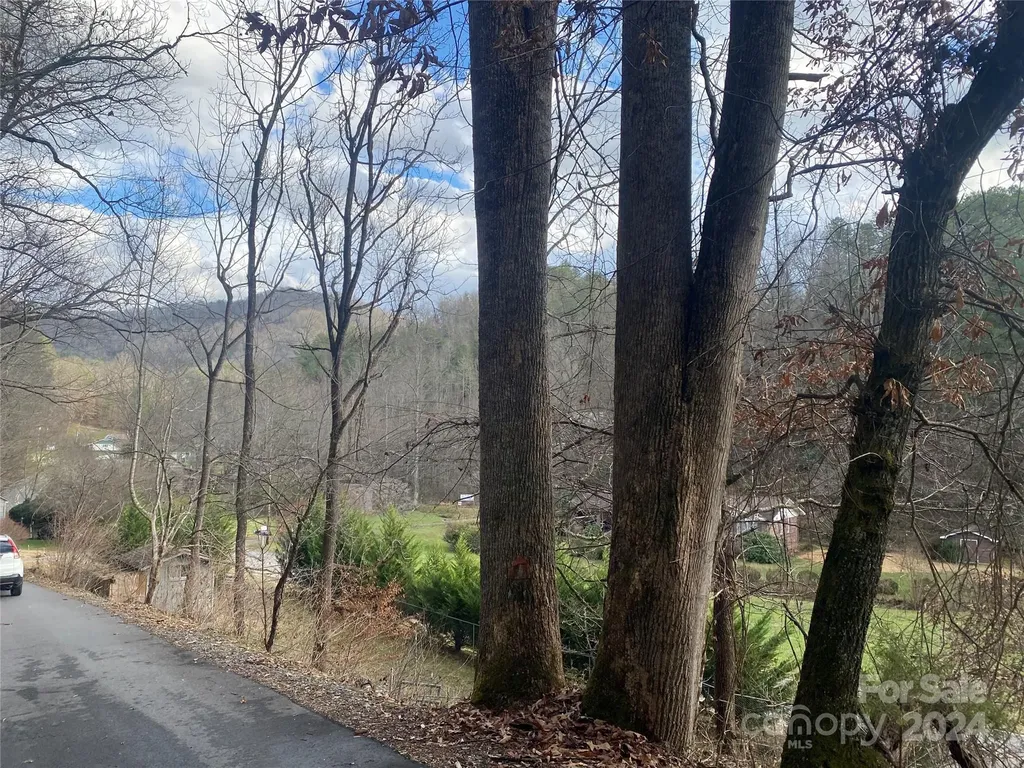 0 Gospel Drive Sylva NC 28779