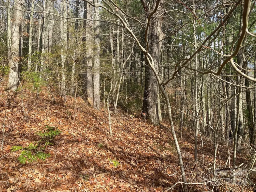 0 Gospel Drive Sylva NC 28779