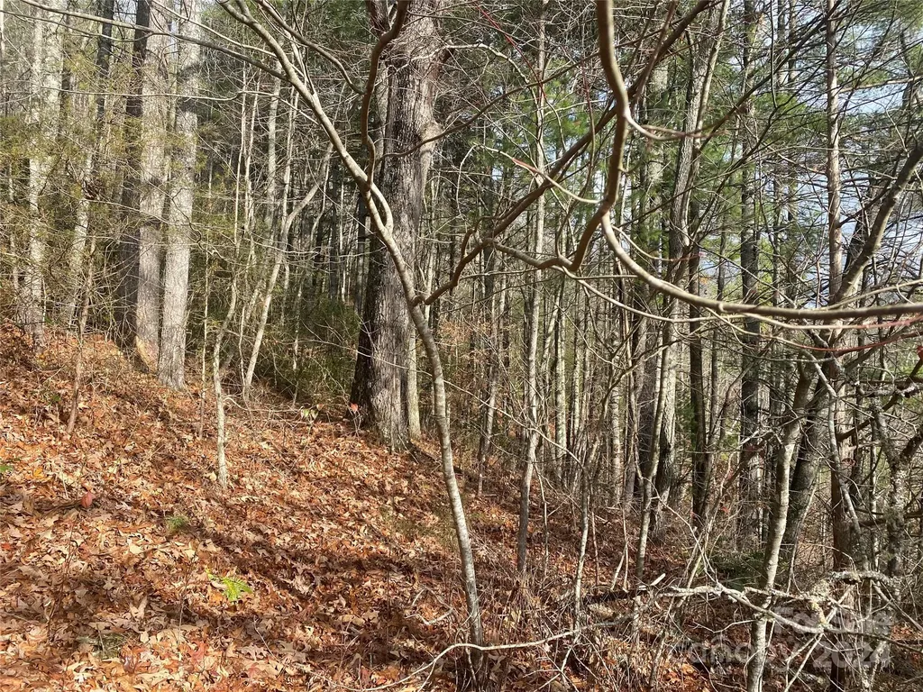 0 Gospel Drive Sylva NC 28779
