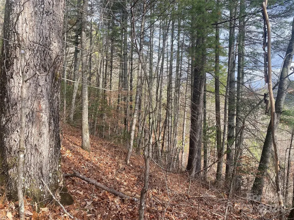 0 Gospel Drive Sylva NC 28779
