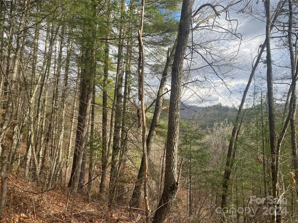0 Gospel Drive Sylva NC 28779