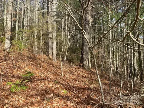 0 Gospel Drive Sylva NC 28779