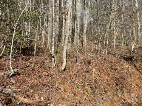 0 Gospel Drive Sylva NC 28779