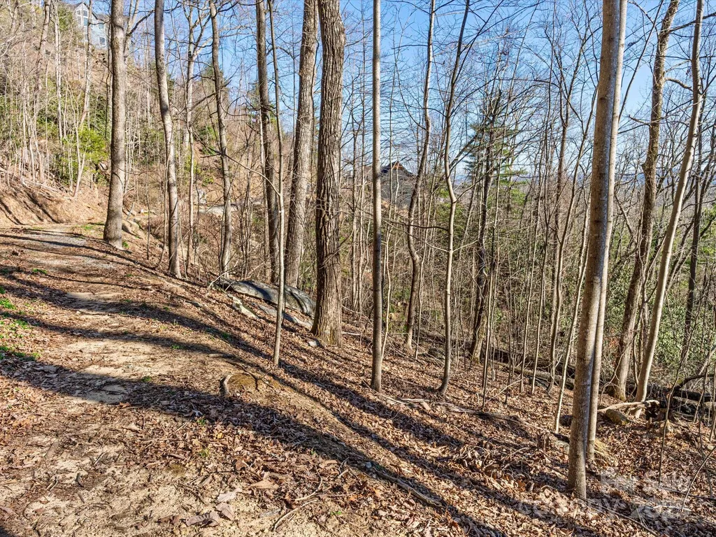 Lot W13 Curtain Bluff Hendersonville NC 28791