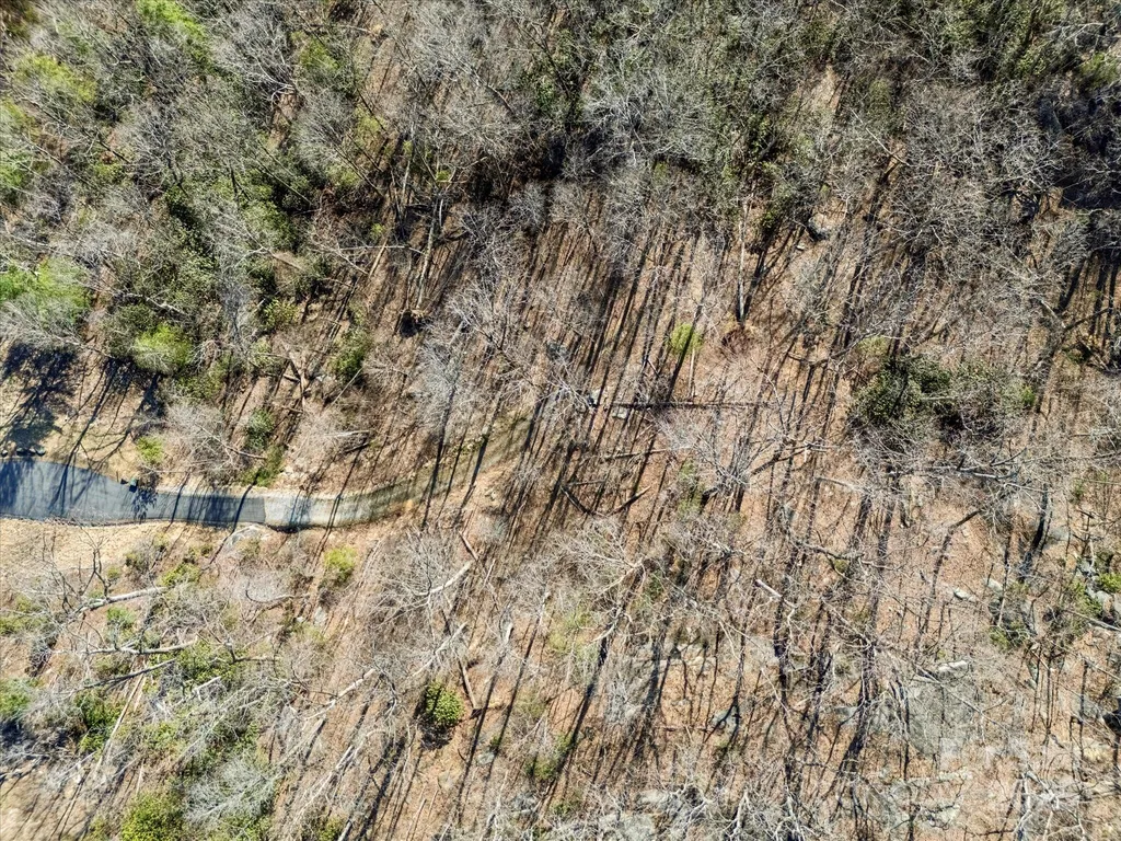 Lot W13 Curtain Bluff Hendersonville NC 28791