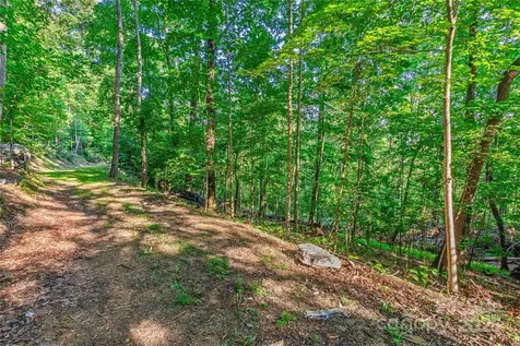 Lot W13 Curtain Bluff Hendersonville NC 28791