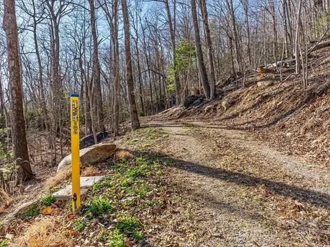 Lot W13 Curtain Bluff Hendersonville NC 28791