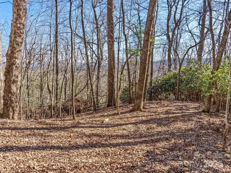 Lot W13 Curtain Bluff Hendersonville NC 28791