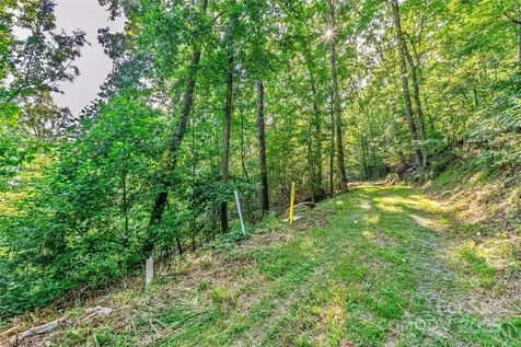 Lot W13 Curtain Bluff Hendersonville NC 28791