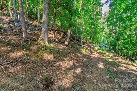 Lot W13 Curtain Bluff Hendersonville NC 28791