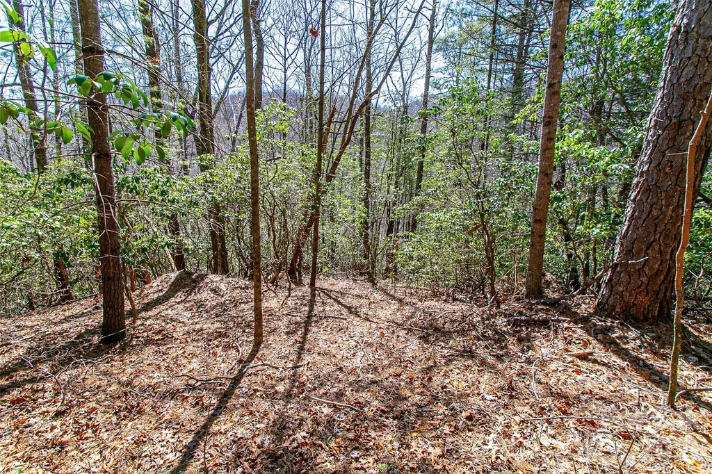 Tbd Still Branch Road Brevard NC 28712