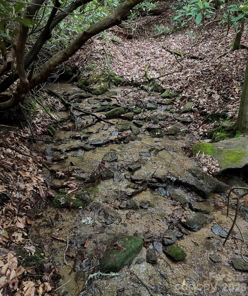 Tbd Still Branch Road Brevard NC 28712