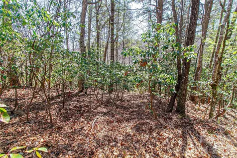 Tbd Still Branch Road Brevard NC 28712