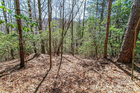 Tbd Still Branch Road Brevard NC 28712