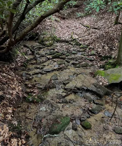 Tbd Still Branch Road Brevard NC 28712
