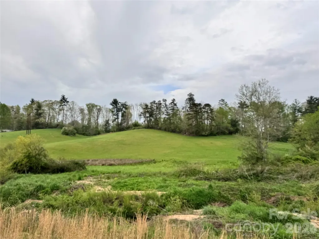 38 Flourish Farm Lane Asheville NC 28806