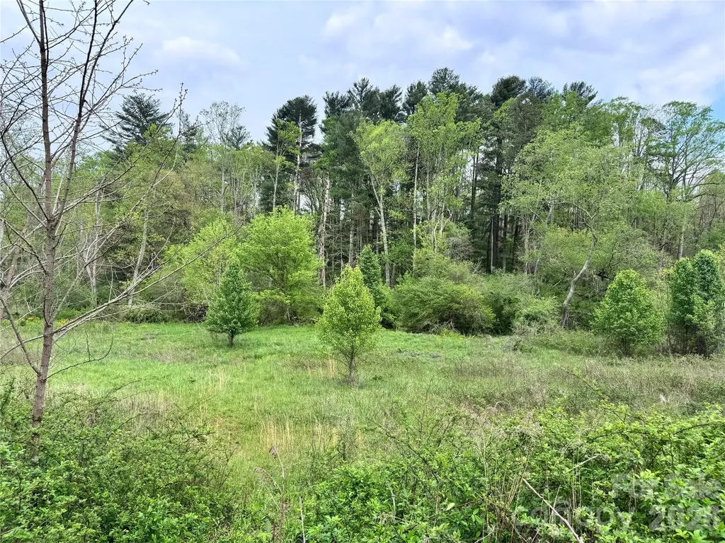 38 Flourish Farm Lane Asheville NC 28806