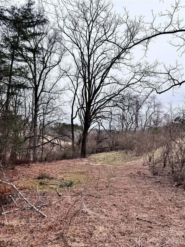 38 Flourish Farm Lane Asheville NC 28806