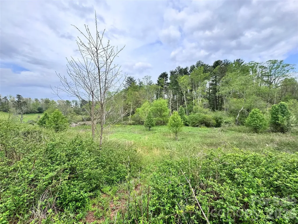 38 Flourish Farm Lane Asheville NC 28806