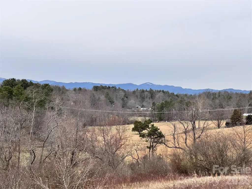 38 Flourish Farm Lane Asheville NC 28806