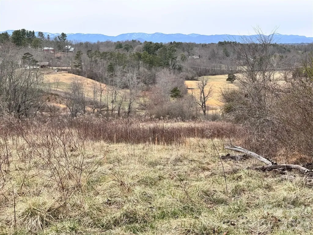 38 Flourish Farm Lane Asheville NC 28806