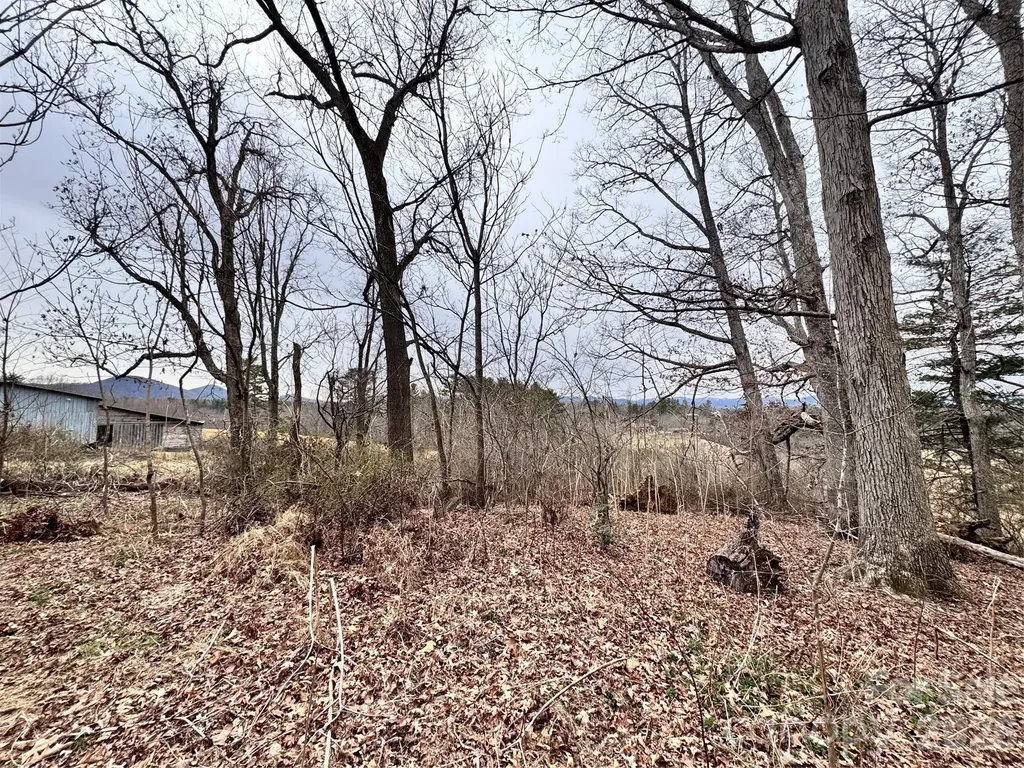 38 Flourish Farm Lane Asheville NC 28806