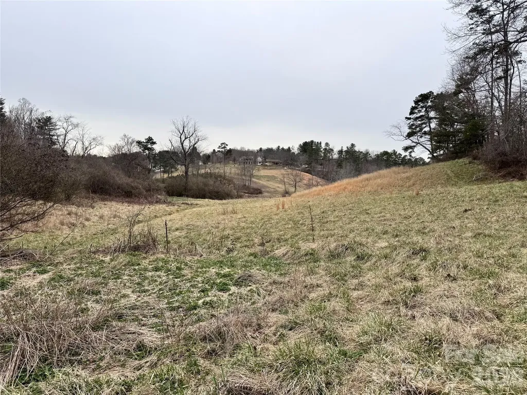 38 Flourish Farm Lane Asheville NC 28806