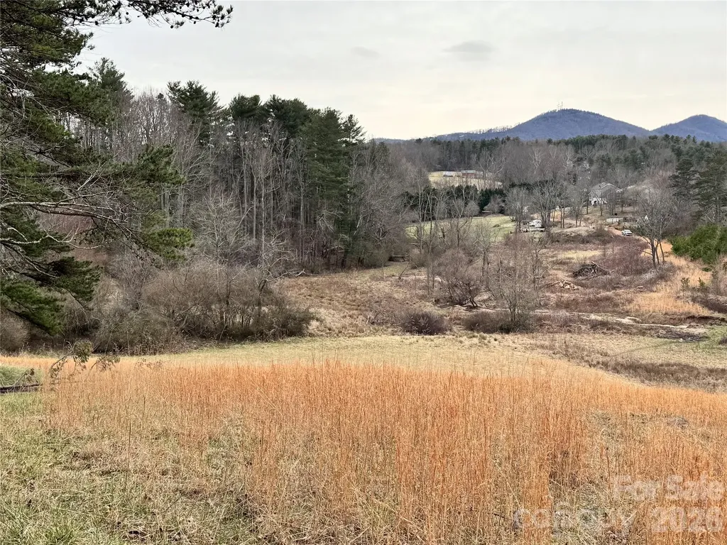 38 Flourish Farm Lane Asheville NC 28806