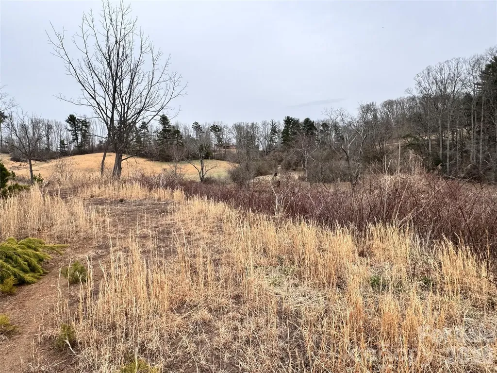 38 Flourish Farm Lane Asheville NC 28806