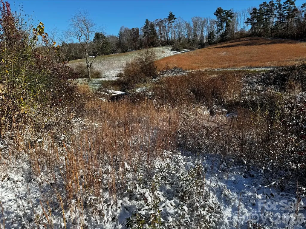38 Flourish Farm Lane Asheville NC 28806