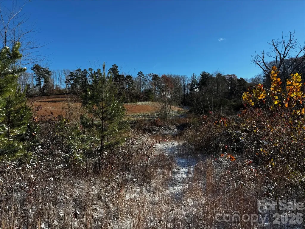38 Flourish Farm Lane Asheville NC 28806