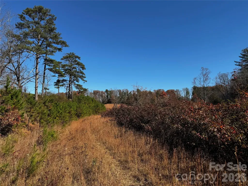 38 Flourish Farm Lane Asheville NC 28806