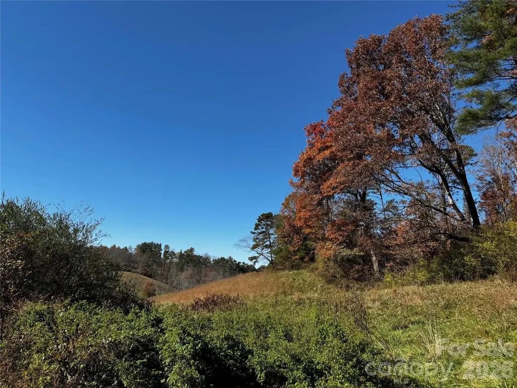 38 Flourish Farm Lane Asheville NC 28806