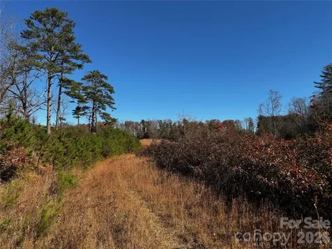 38 Flourish Farm Lane Asheville NC 28806