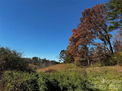 38 Flourish Farm Lane Asheville NC 28806