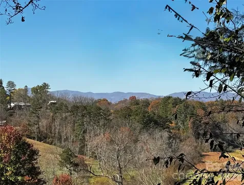 38 Flourish Farm Lane Asheville NC 28806