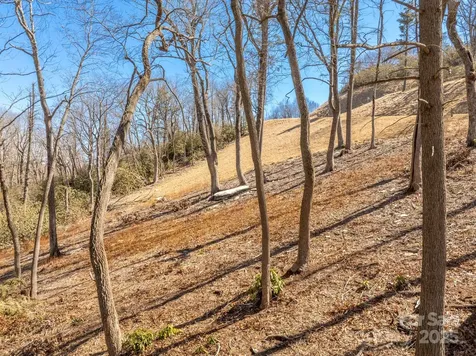 0000 East Garden Trail Hendersonville NC 28792