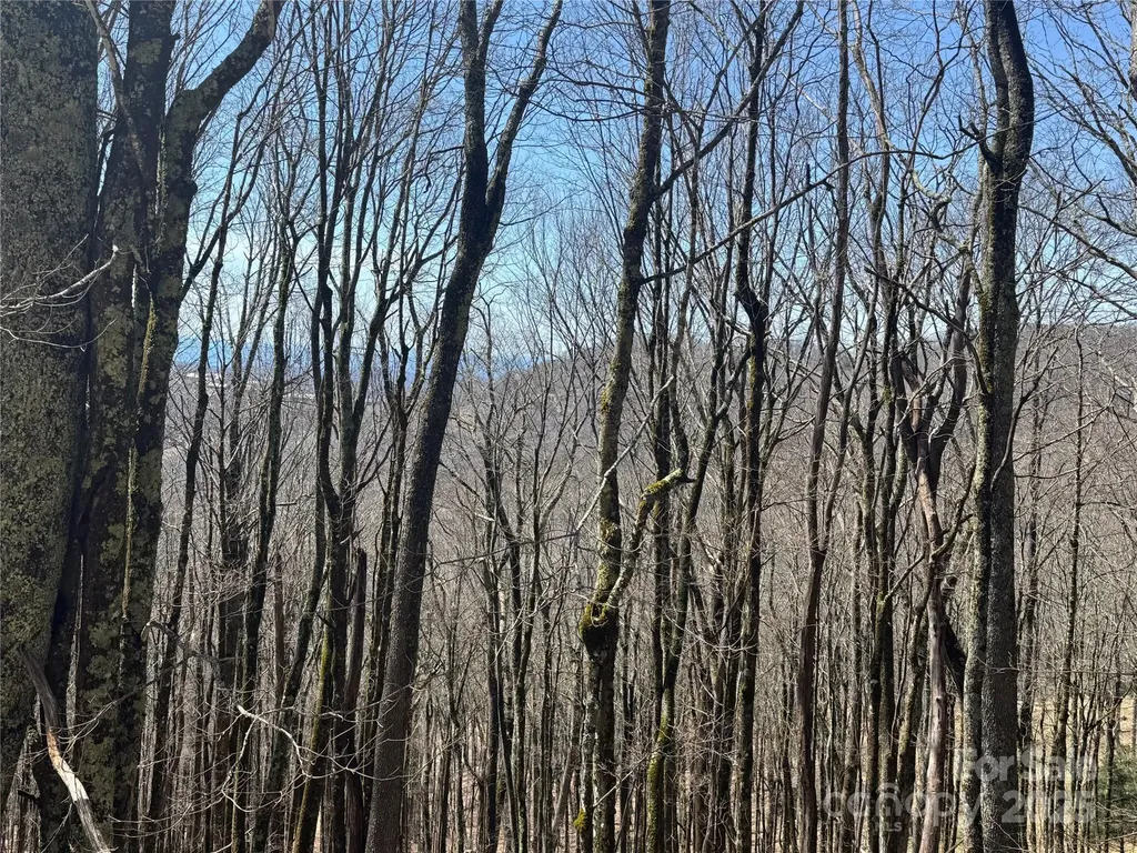 261 Grouse Thicket Lane Mars Hill NC 28754