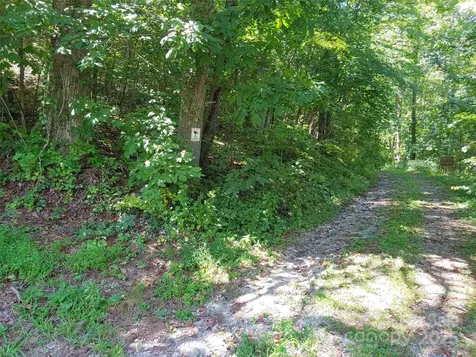 0000 Thomasville Lane Gerton NC 28735